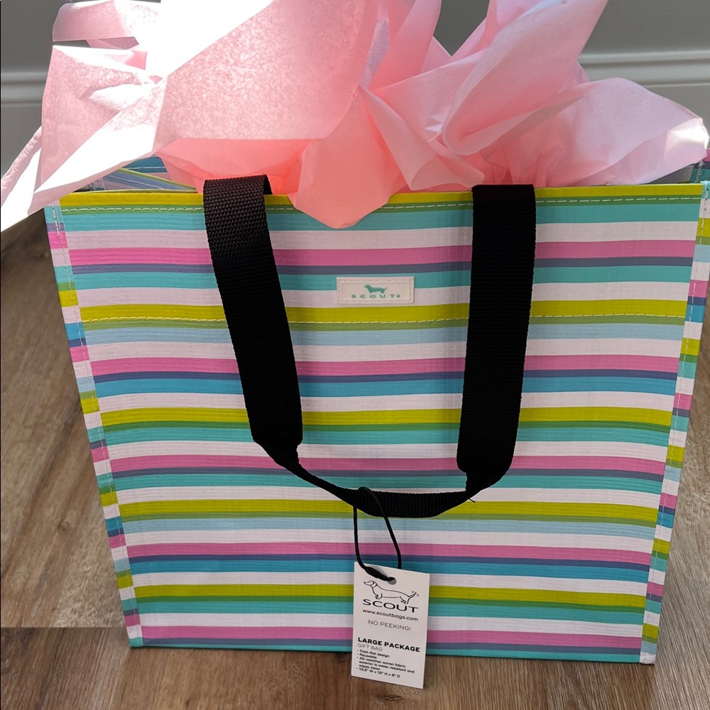 SCOUT Vibrant Striped NWT Large Package Gift Bag 13.5” W x 12” H x 6” D - Picture 14 of 16